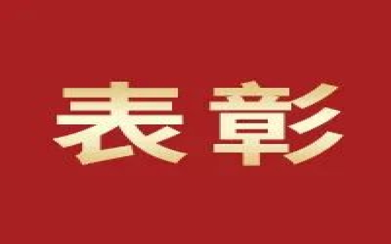 奮進(jìn)2023，這些集體和個(gè)人無上“榮”光