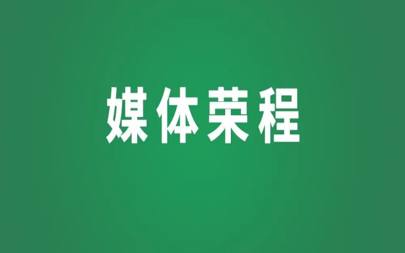 文脈古鎮(zhèn)“煥新”出發(fā)——葛沽鎮(zhèn)以守正創(chuàng)新之勢(shì)推動(dòng)高質(zhì)量發(fā)展